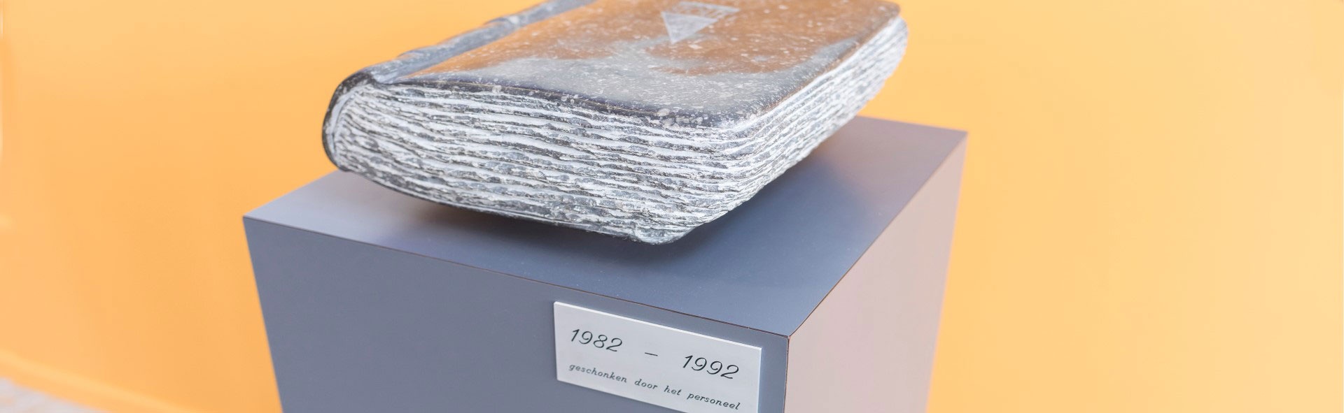 Belastingadviseur Alblasserdam